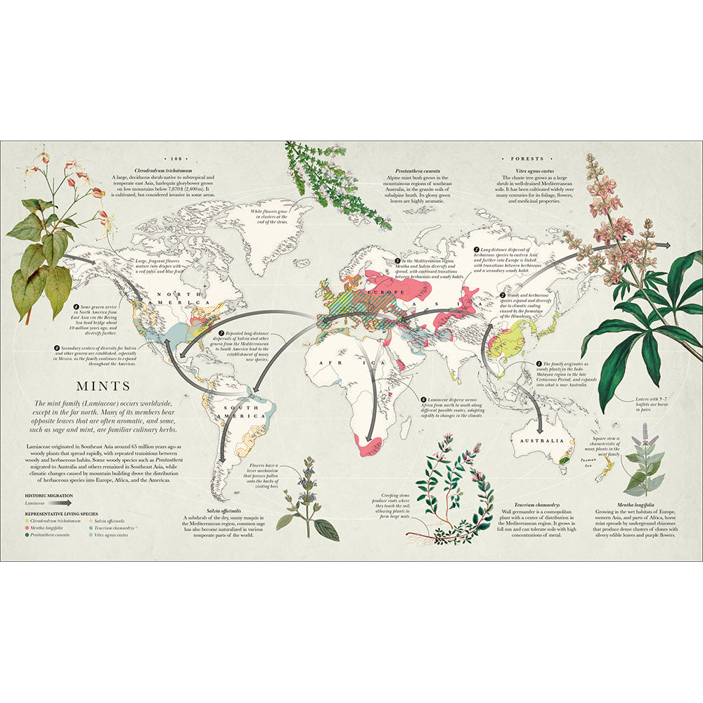 Atlas of Botany: An Exploration of Plants Across Time and Around the World