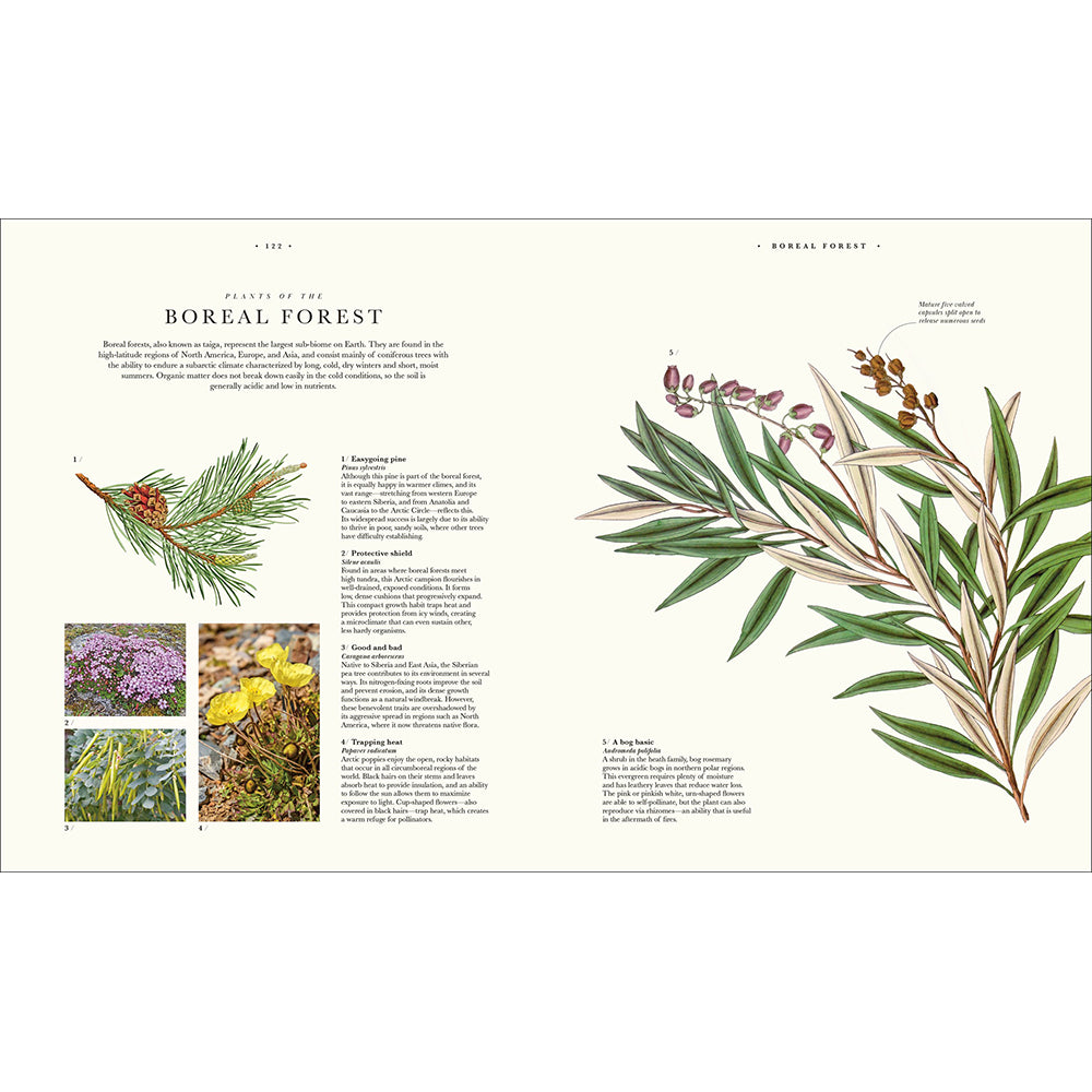 Atlas of Botany: An Exploration of Plants Across Time and Around the World