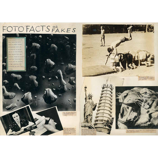 Print Matters: Media and Modernity in Illustrated Magazines, 1910–1970 ...