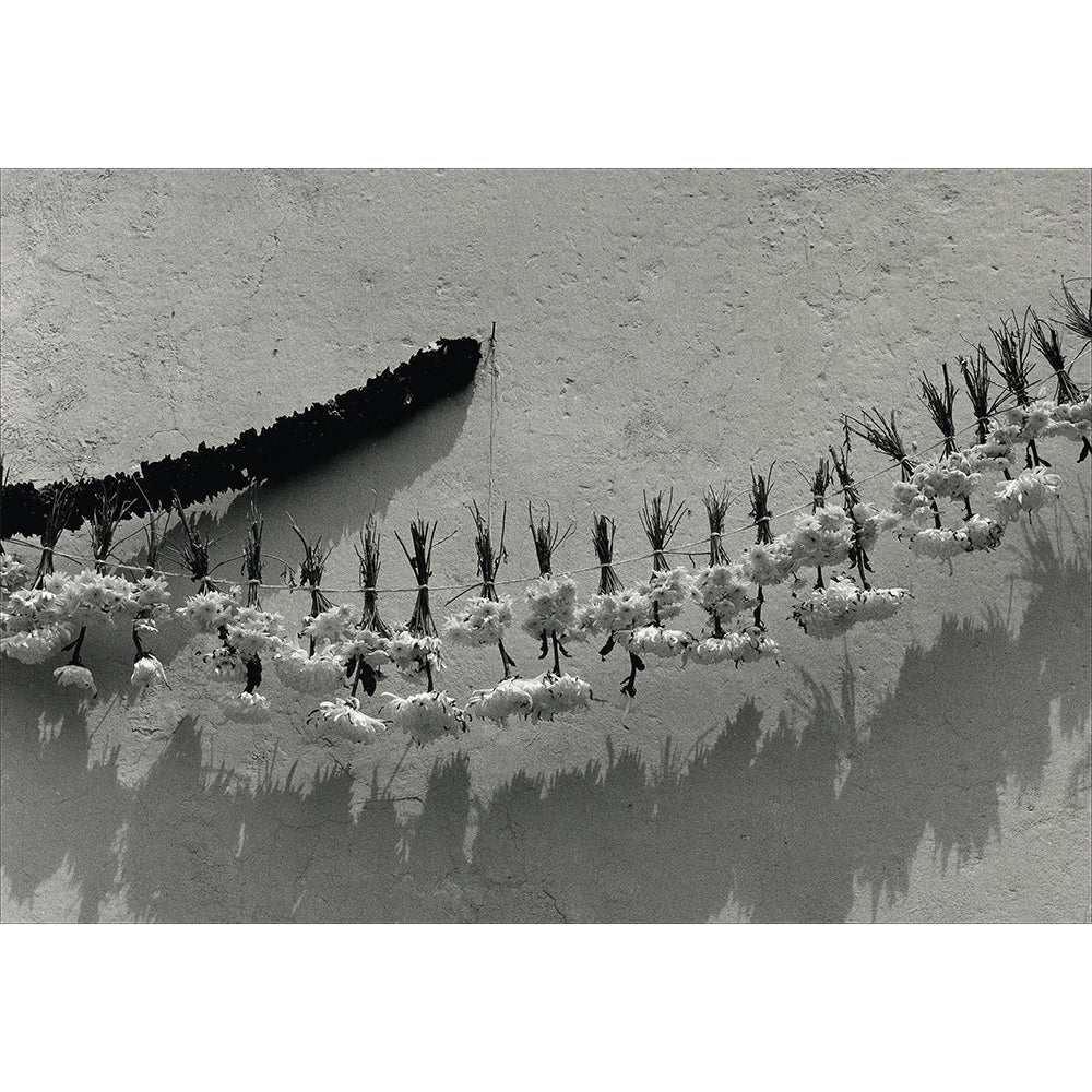 Instante/revelación: Moments in Mexican Photography