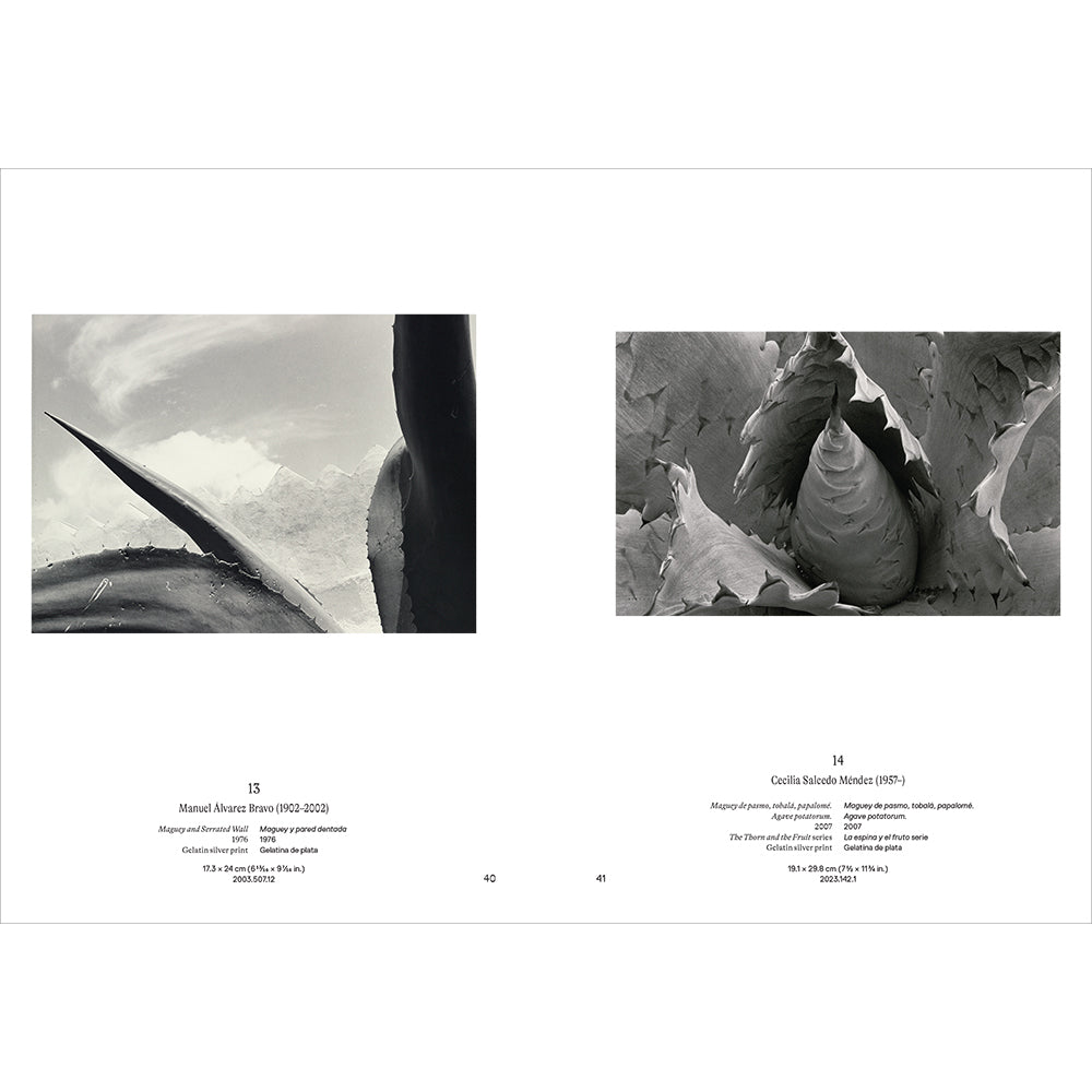 Instante/revelación: Moments in Mexican Photography