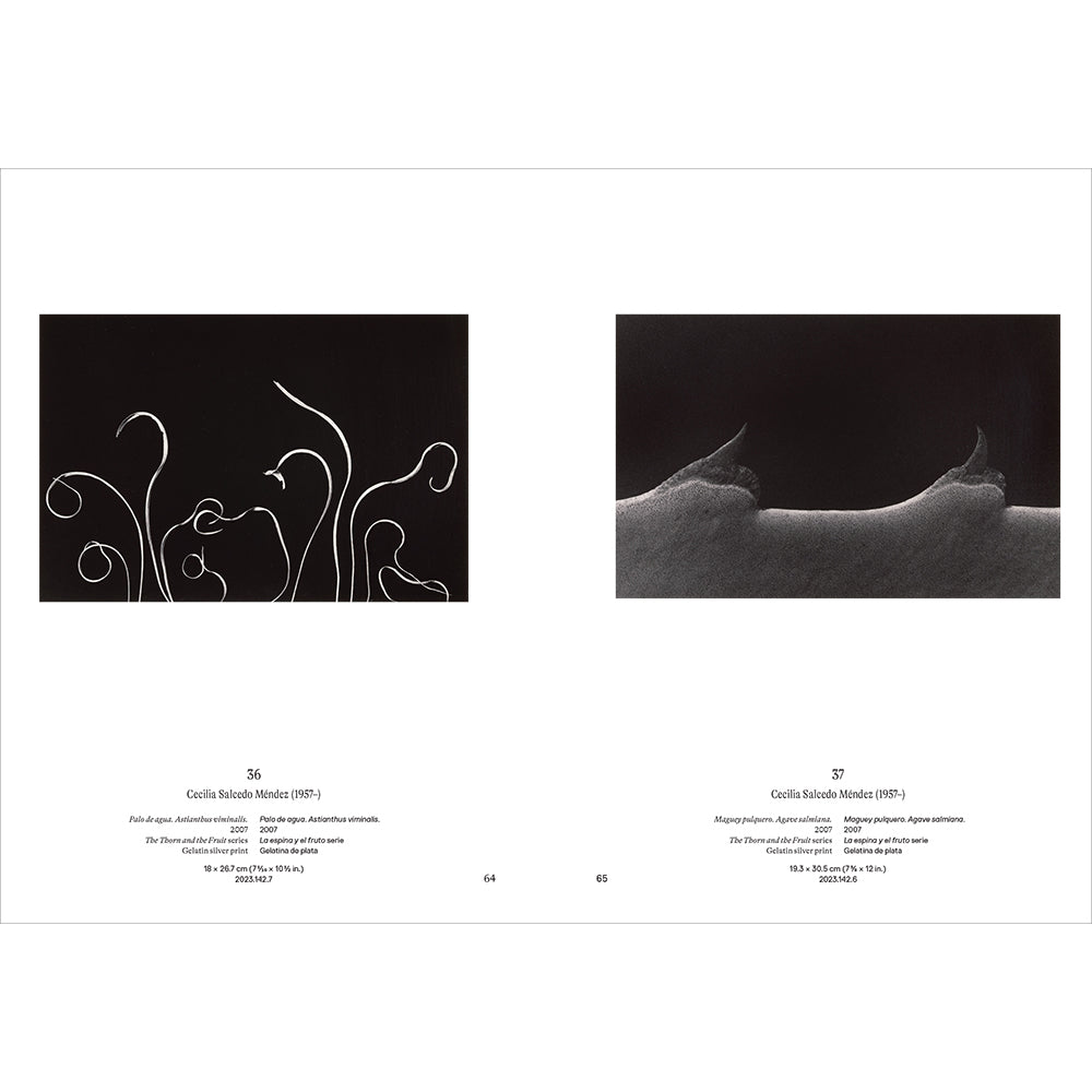 Instante/revelación: Moments in Mexican Photography