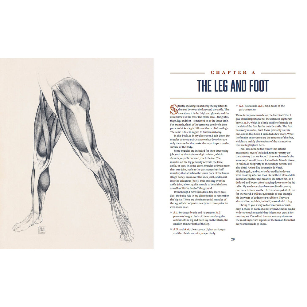 A printed page spread showing an anatomical illustration of a leg and foot on the left and a chapter titled 'THE LEG AND FOOT' with body text on the right.