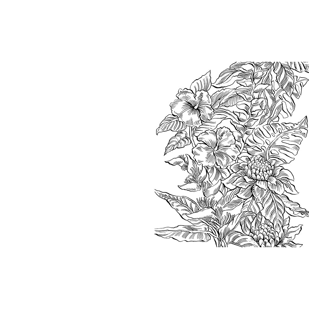 Rainforest Watercolor: A Coloring Book