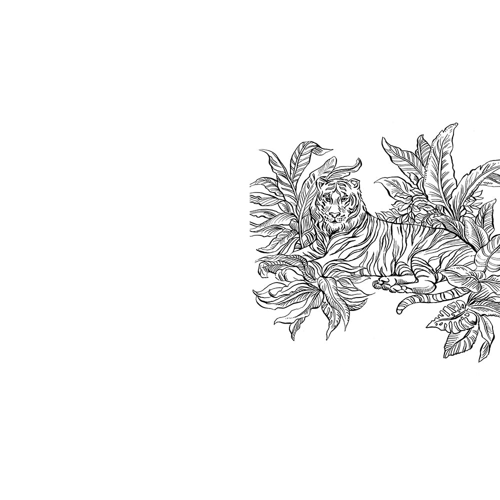 Rainforest Watercolor: A Coloring Book