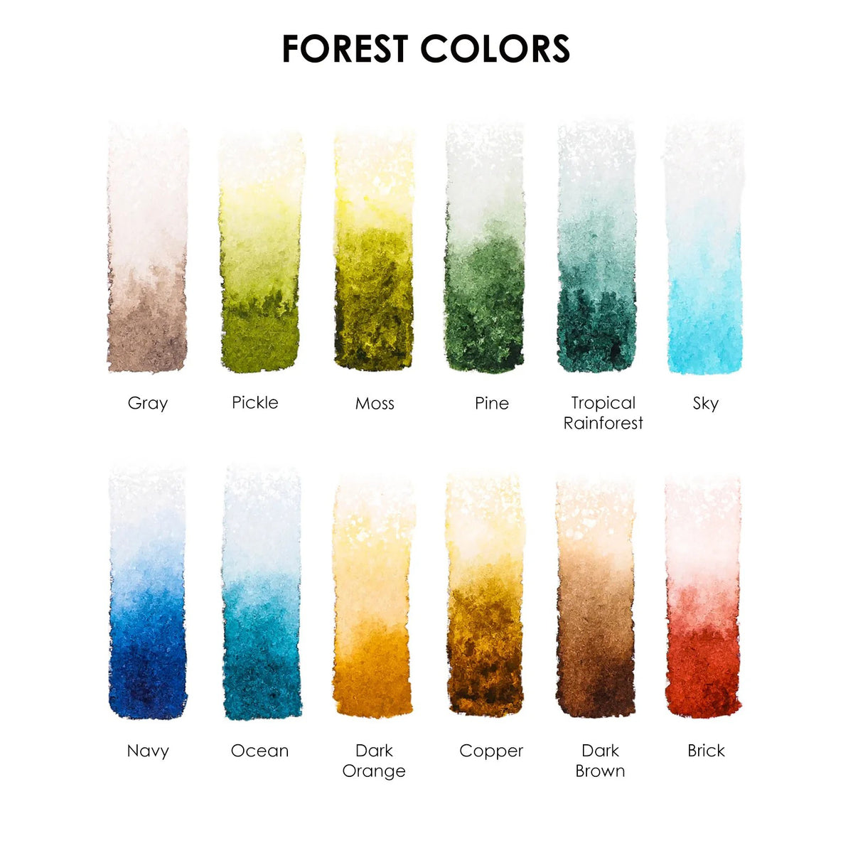 Color swatches labeled with forest-themed names on a white background