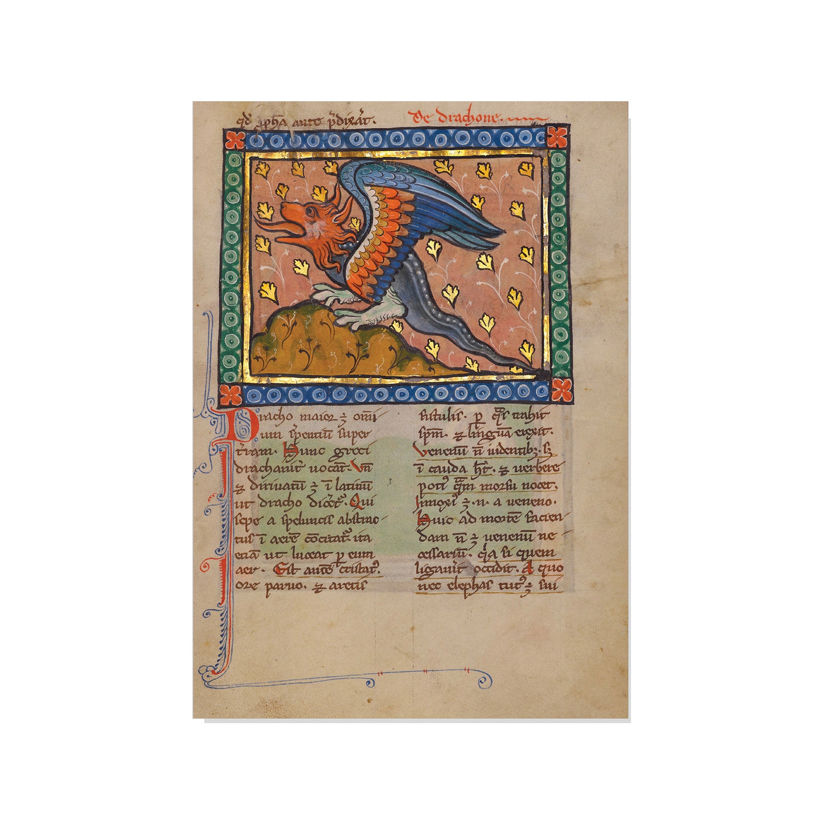 Medieval manuscript page with a dragon illustration on a beige background