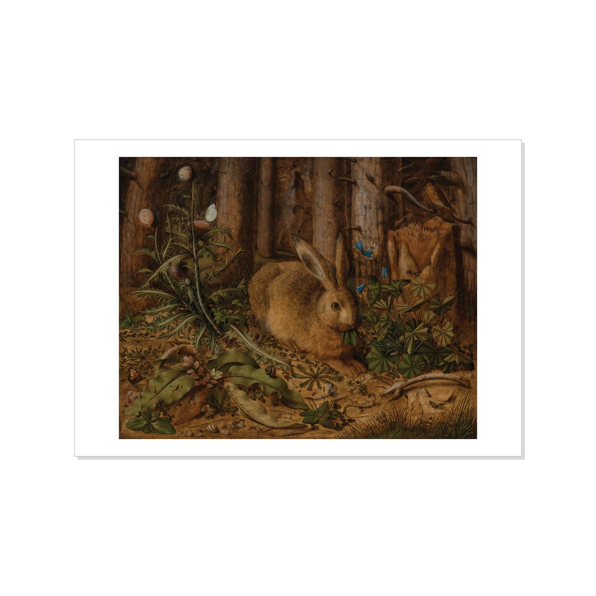 Hoffmann - A Hare in the Forest Postcard