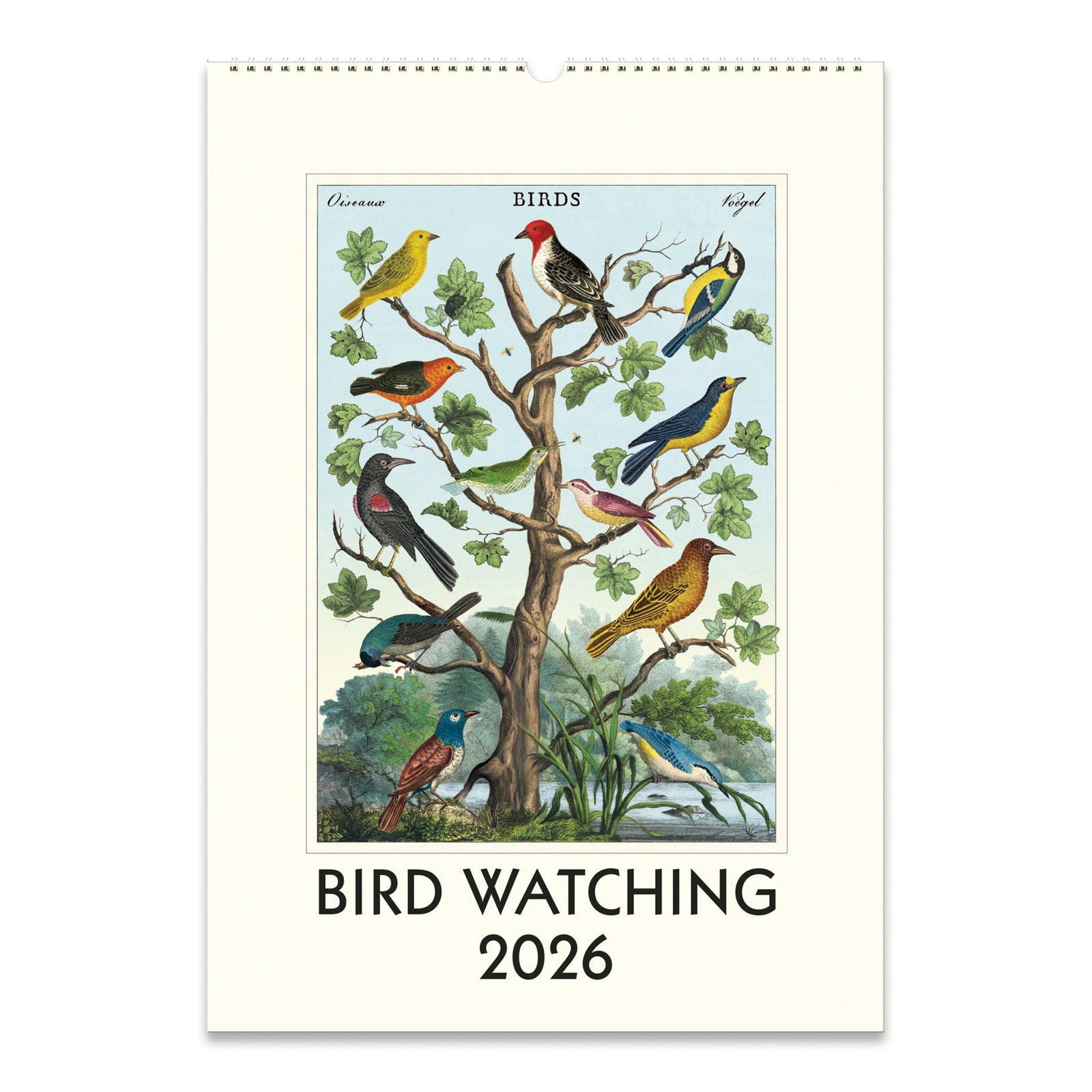 Spiral bound 2026 calendar with bird illustration on a white background