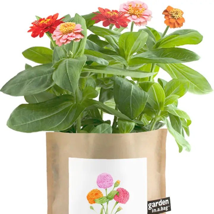 Potted plant with colorful flowers in a brown bag labeled 'garden in a bag'.