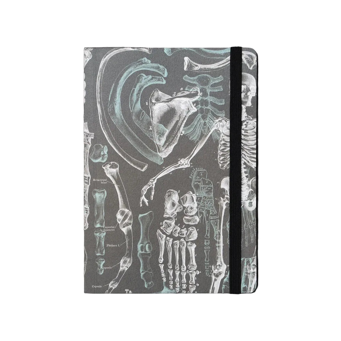 A hardcover notebook featuring a dark gray cover printed with anatomical skeleton and X-ray style illustrations, secured with a black elastic closure band