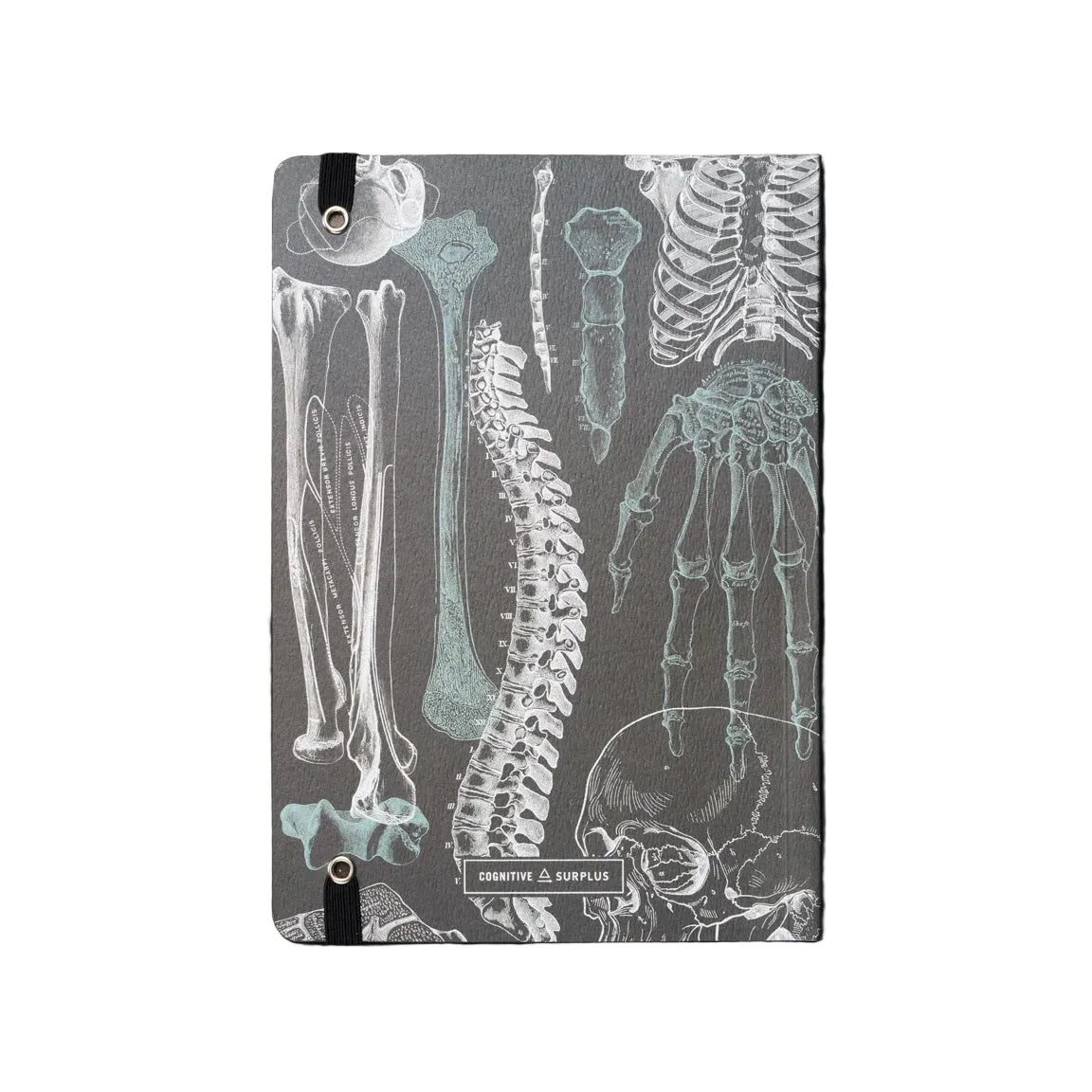 A hardcover notebook with a dark gray cover featuring anatomical skeleton illustrations in white and pale blue-green, secured with a black elastic band 