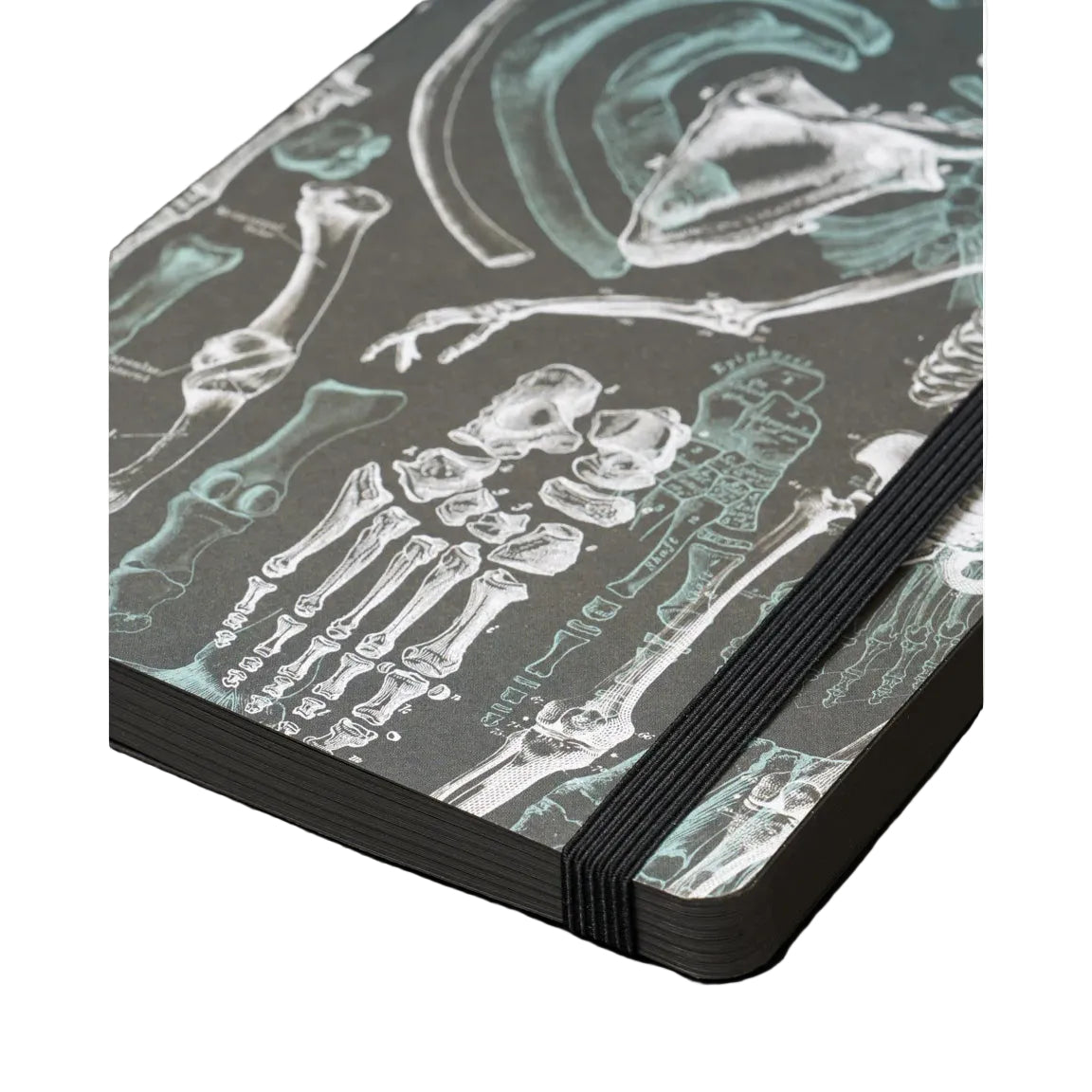 A close-up of a notebook with a dark gray cover featuring white and pale green anatomical skeleton illustrations, secured with a black elastic band.