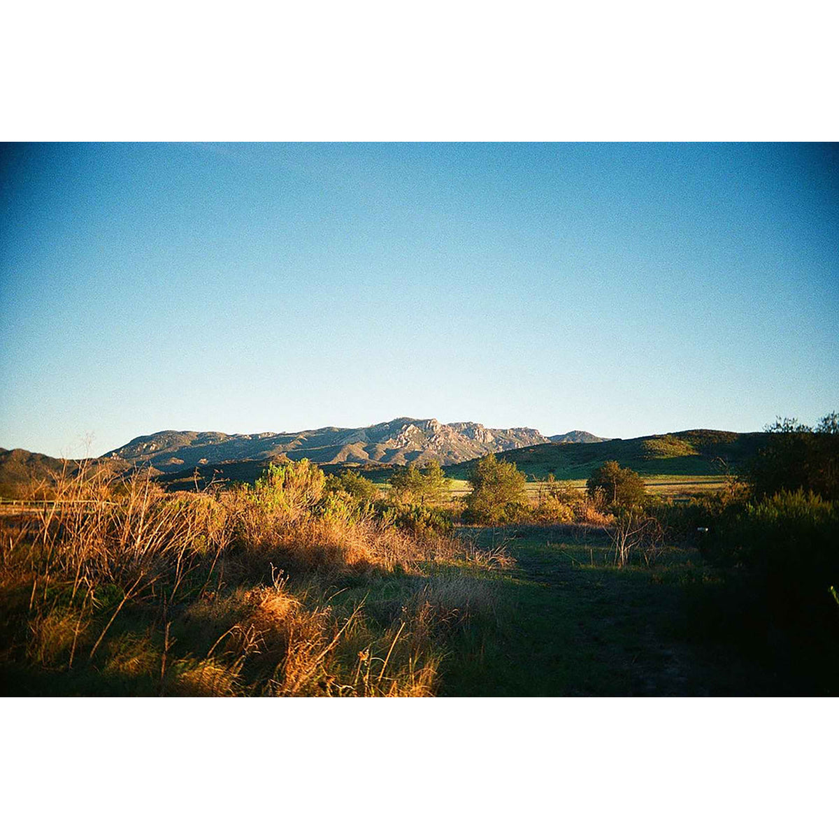 Kodak Ultamax 400 Color Negative Film - 35MM (36 Exp)