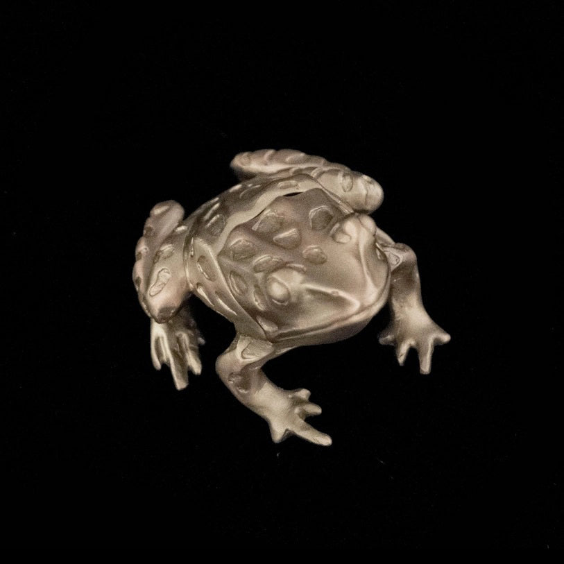 A pewter trinket box in the shape of a frog with an antique pewter finish.