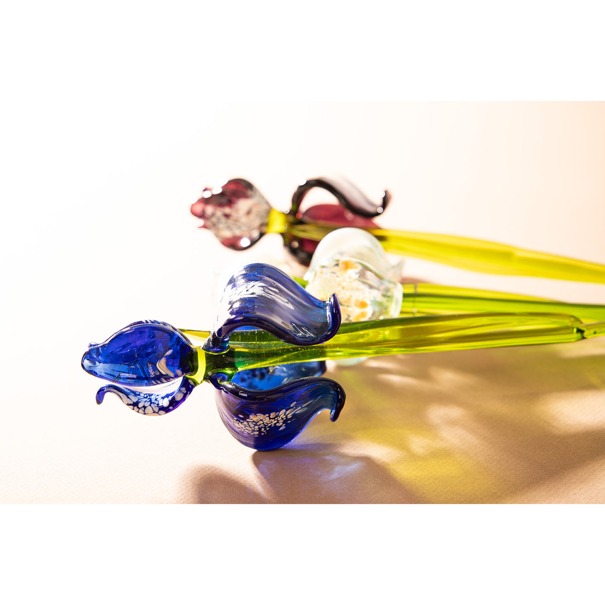 Glass Iris Flower