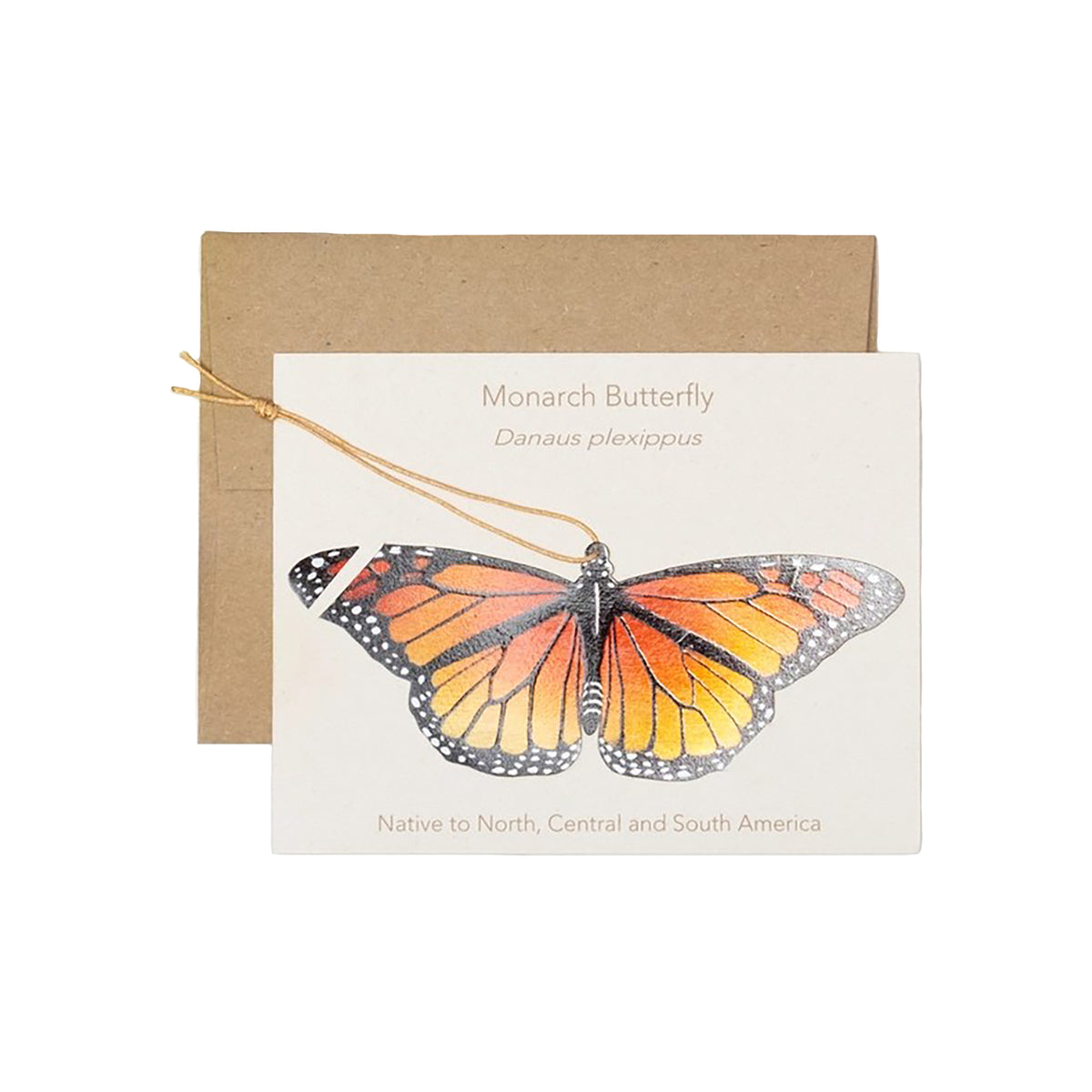 Monarch Butterfly Ornament and Notecard