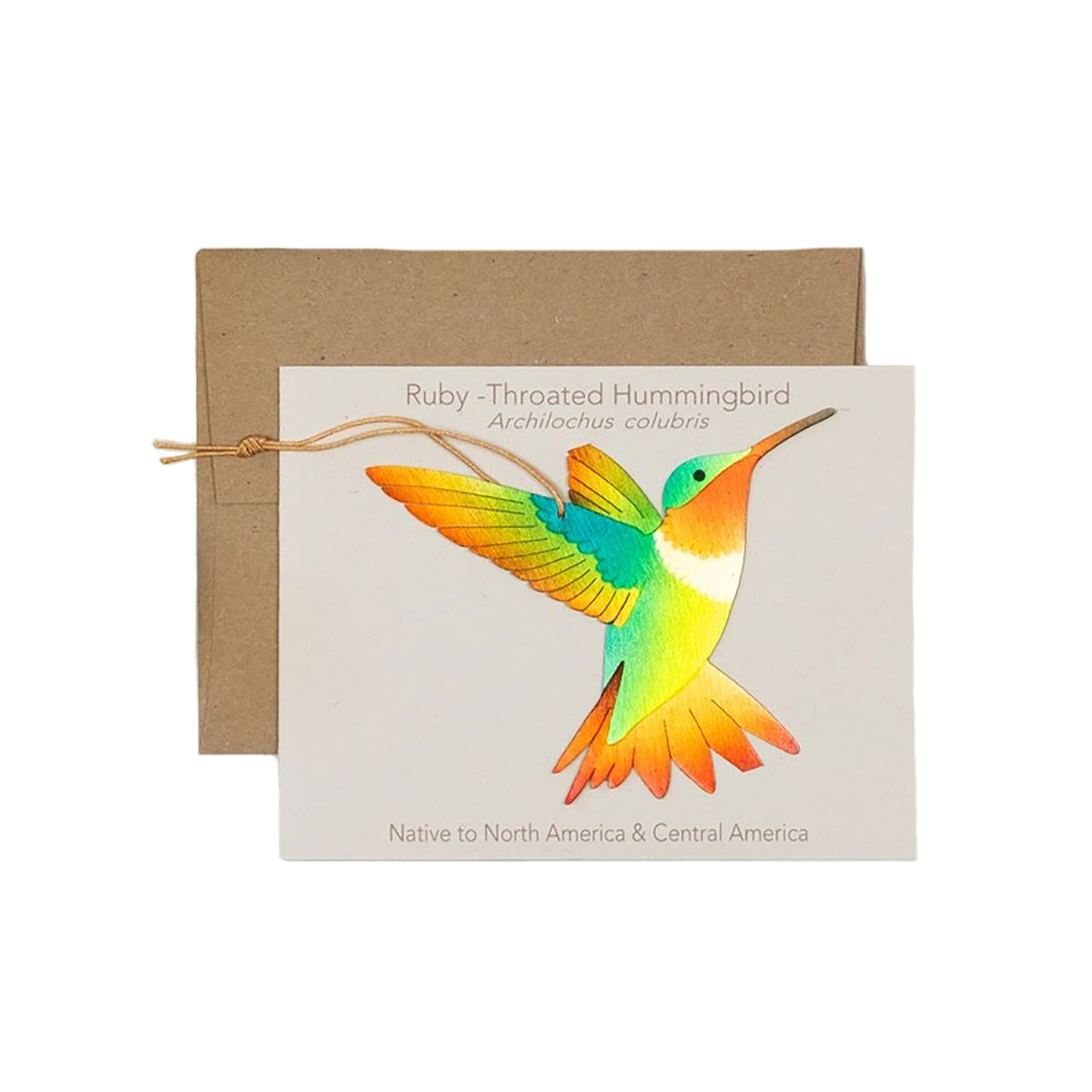 Hummingbird Ornament and Notecard