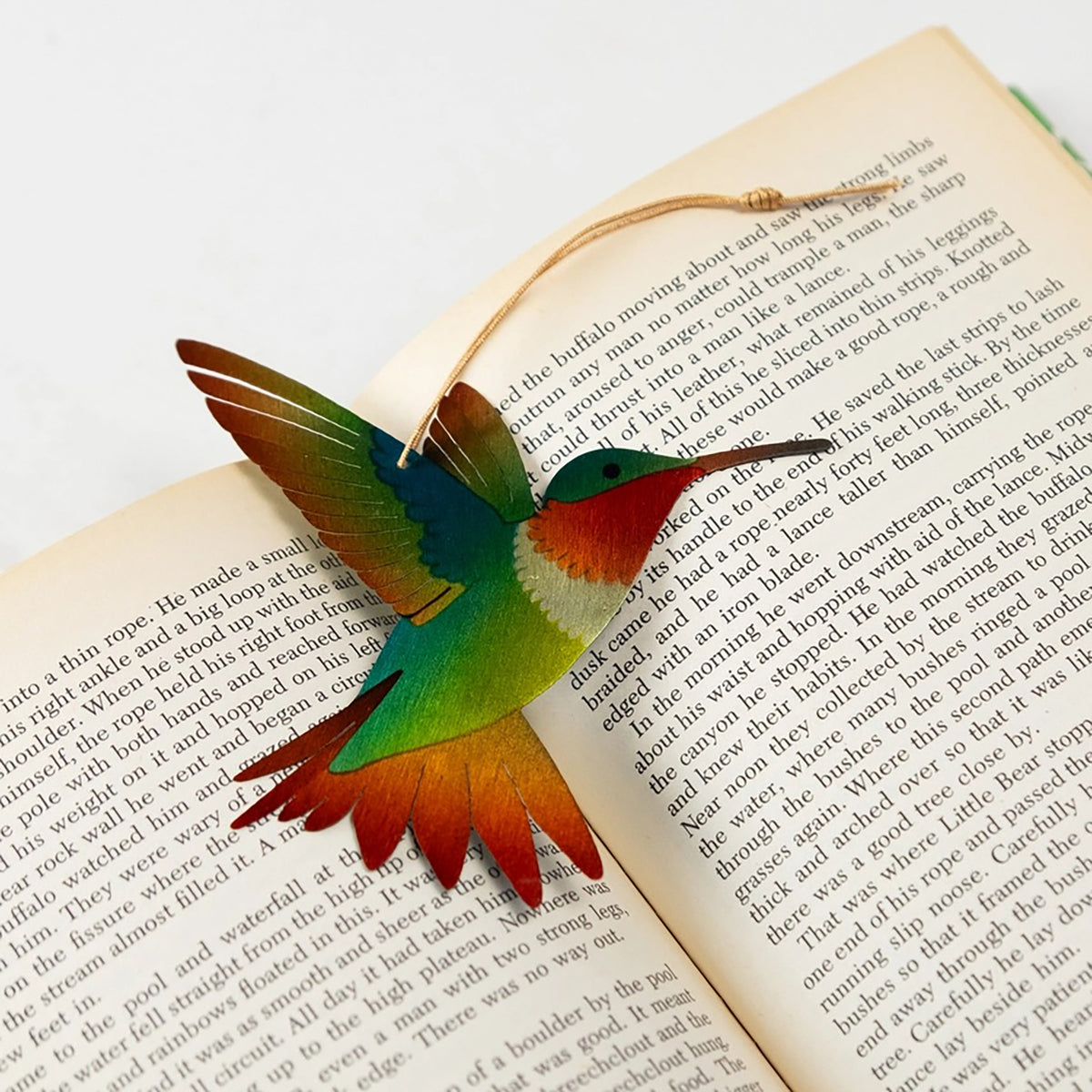 Hummingbird Ornament and Notecard