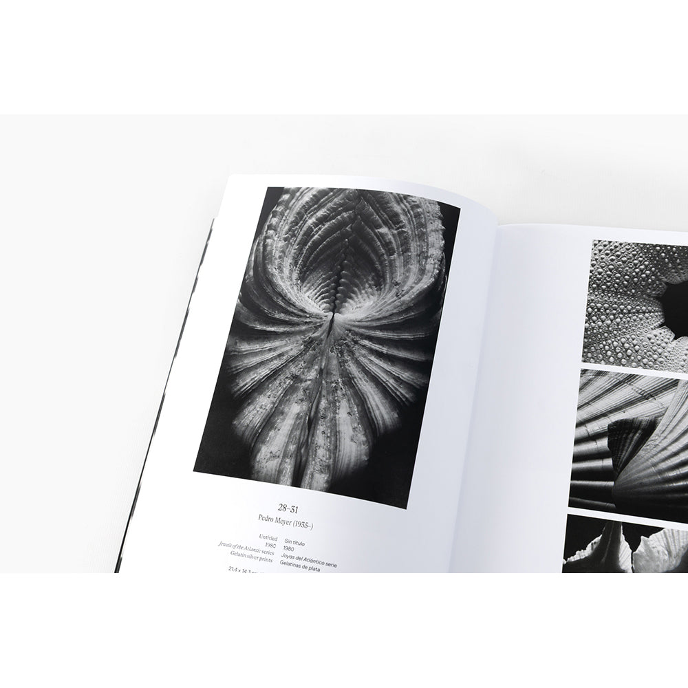 Instante/revelación: Moments in Mexican Photography