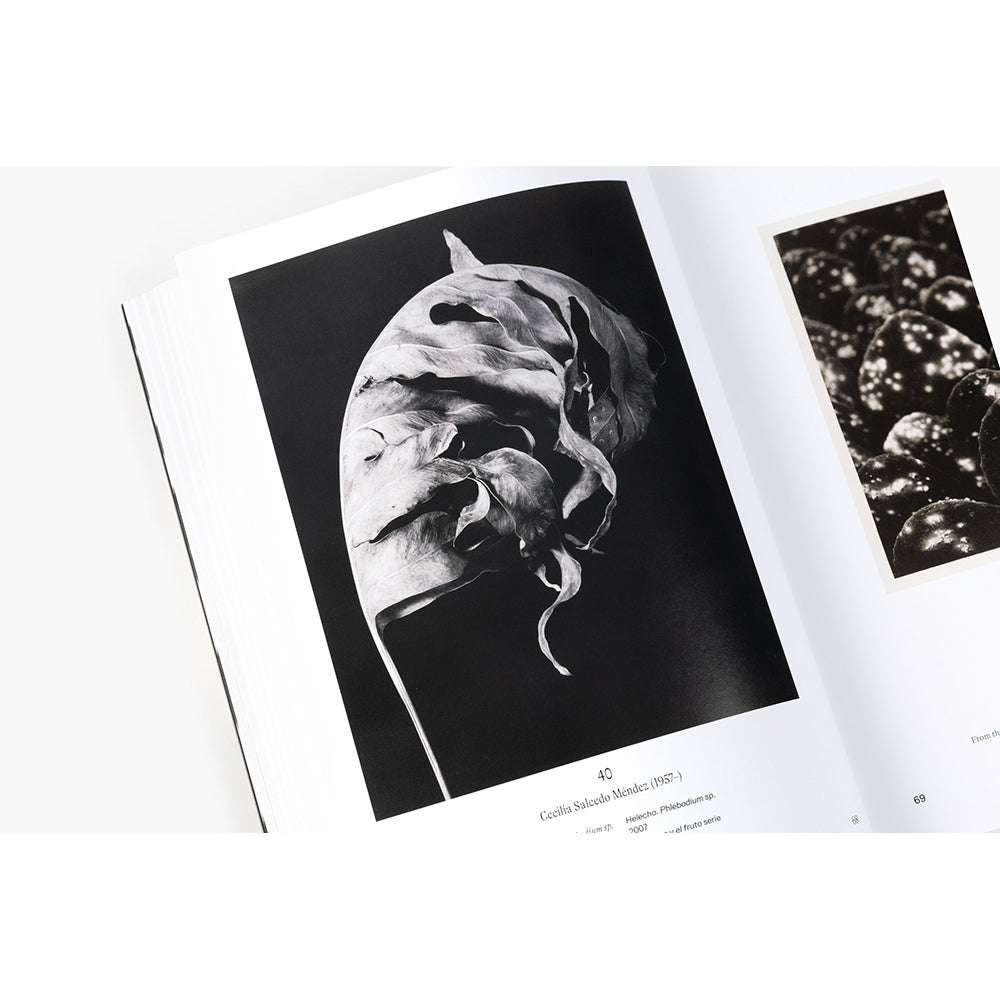 Instante/revelación: Moments in Mexican Photography