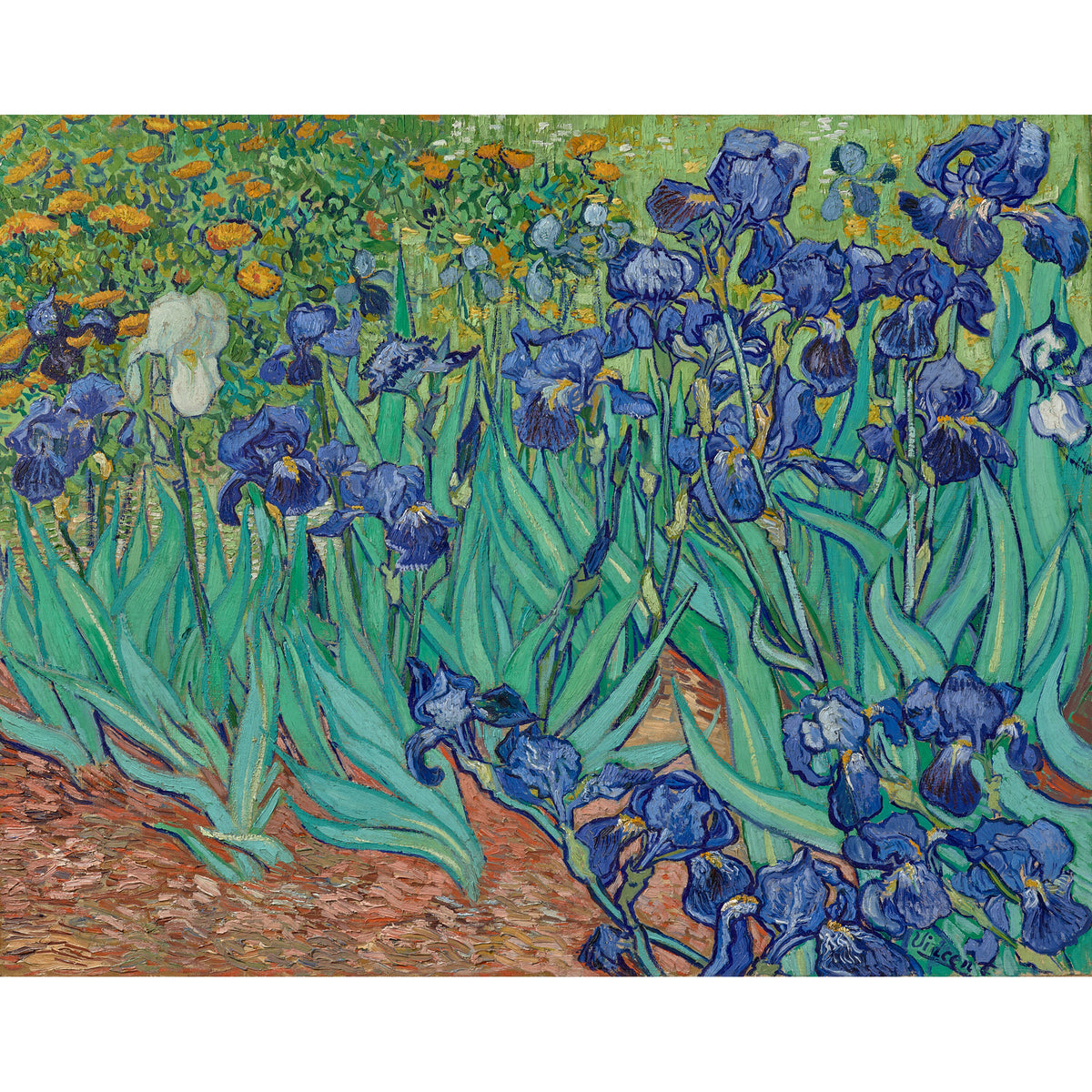 Van Gogh Irises 5 Panel Hat - Black