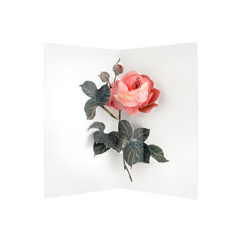 A notecard featuring a pop-up image of a pink rose with green leaves on a white background, with gold foil details.