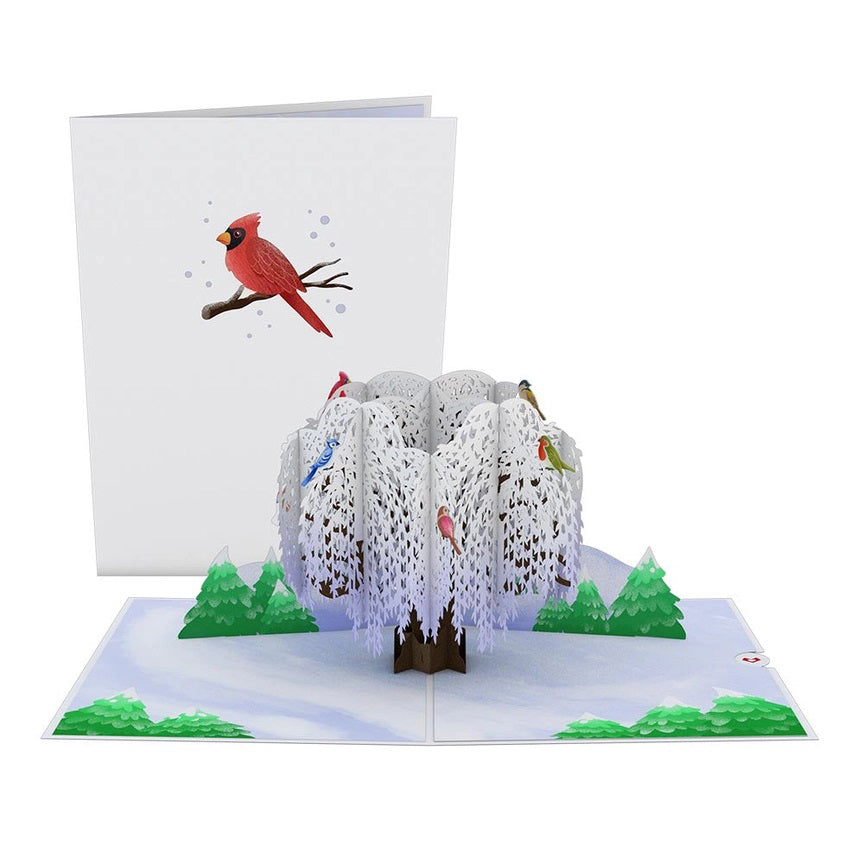 Winter Willow With Birds Pop-Up Holiday Card