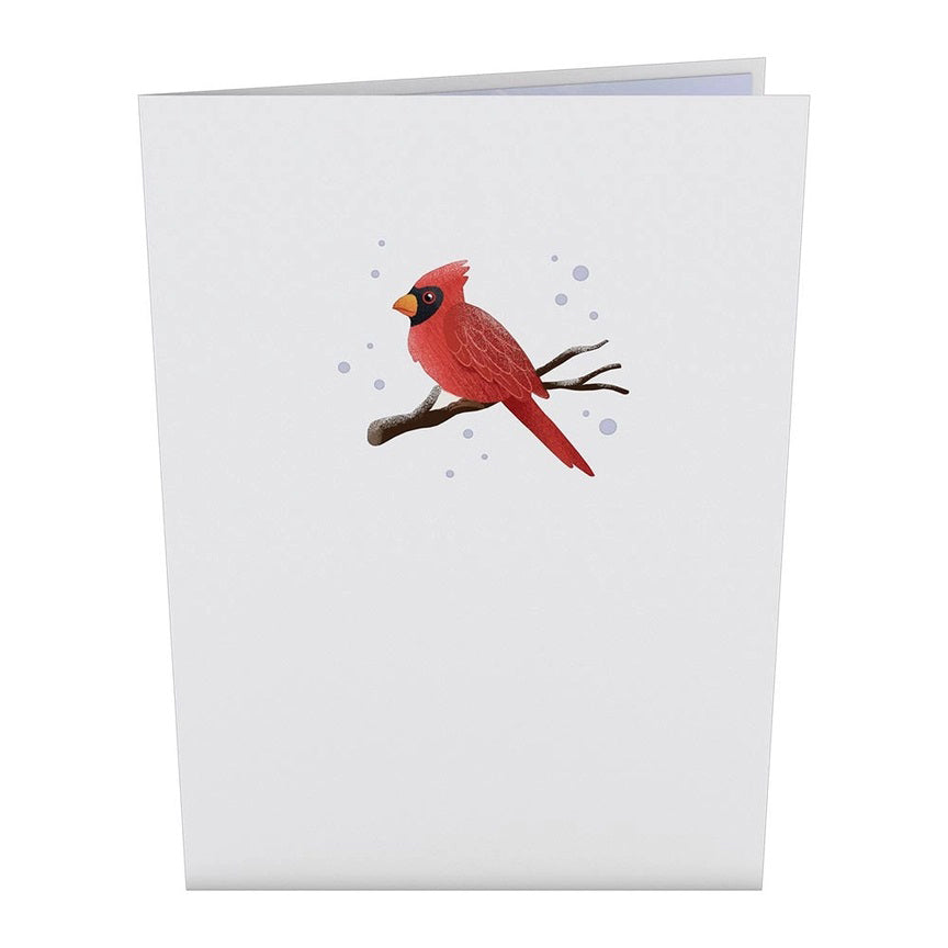 Winter Willow With Birds Pop-Up Holiday Card