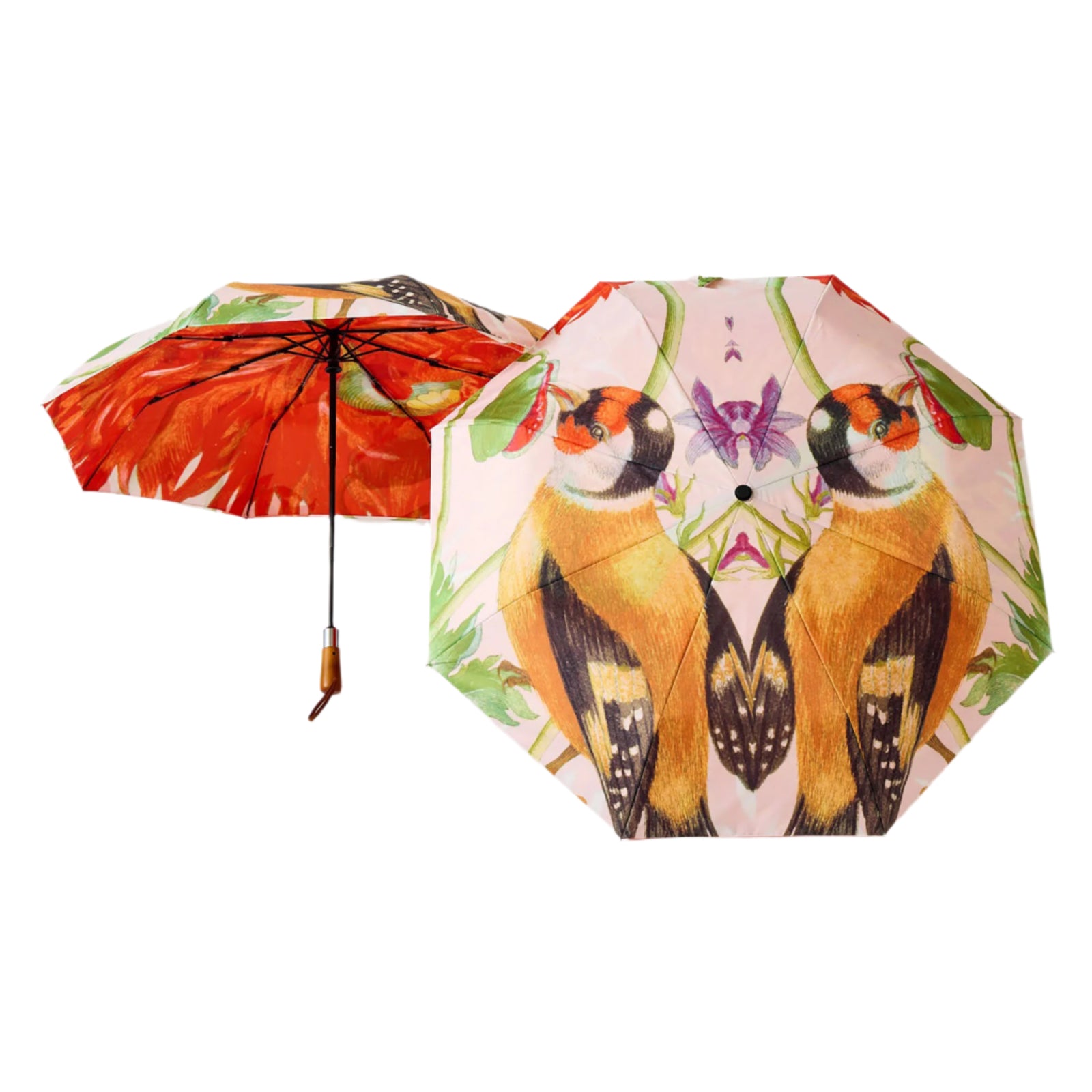 A decorative umbrella with a printed design featuring two birds on a white background, with a wooden handle and red detailing.