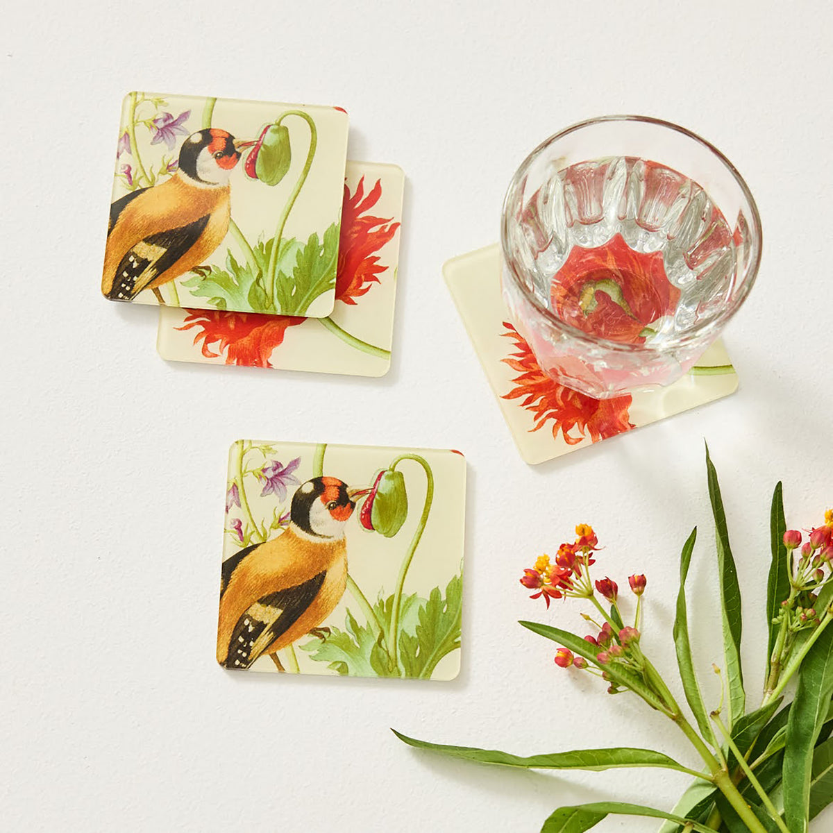 Maria Sybilla Merian Magnet &amp; Coaster Set