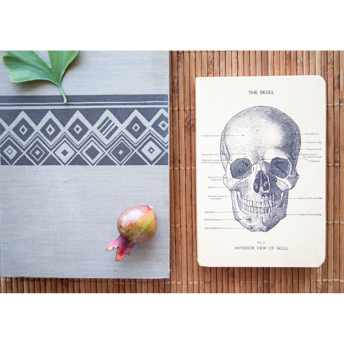 Small Skull Notebook