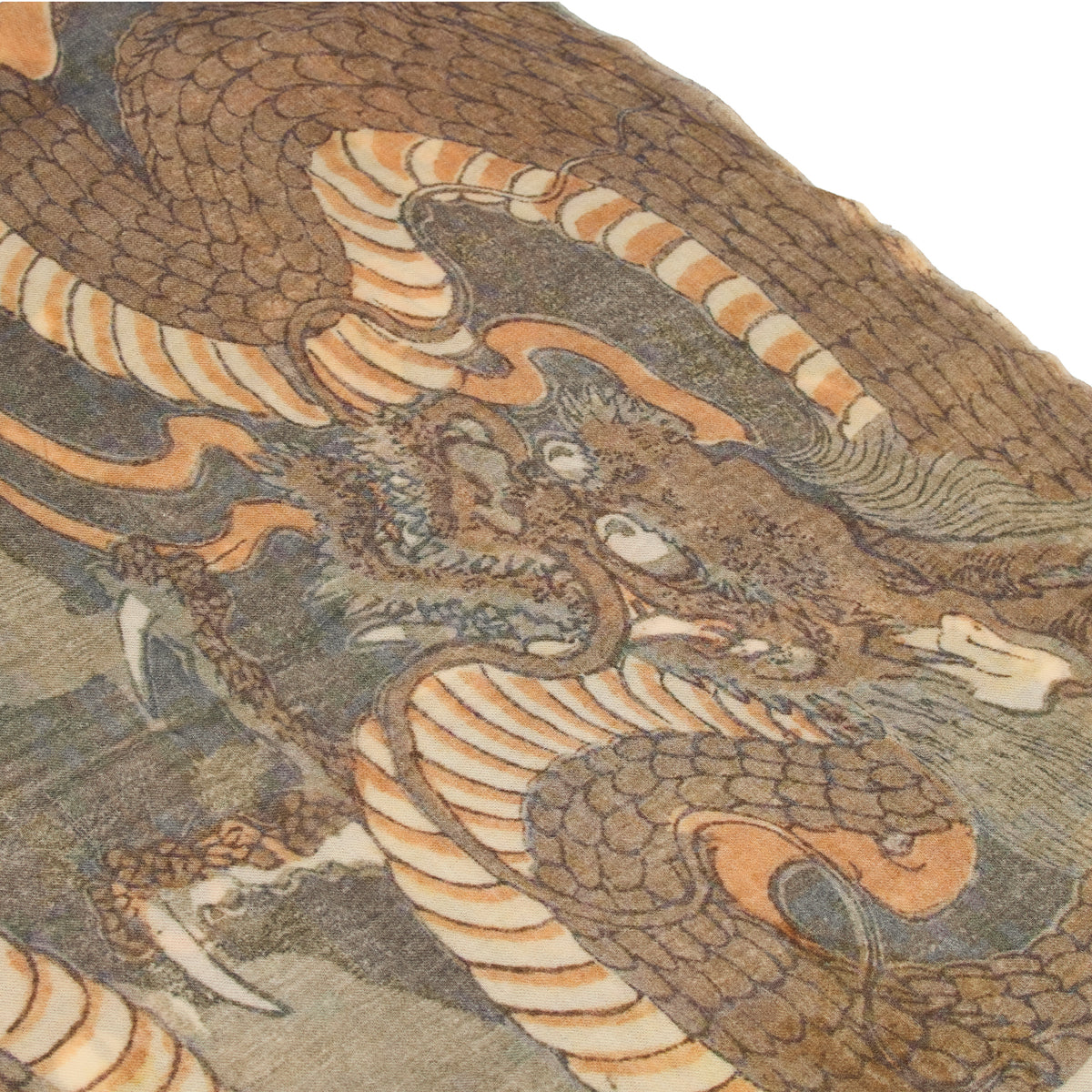 Close-up of a detailed dragon illustration with intricate patterns.