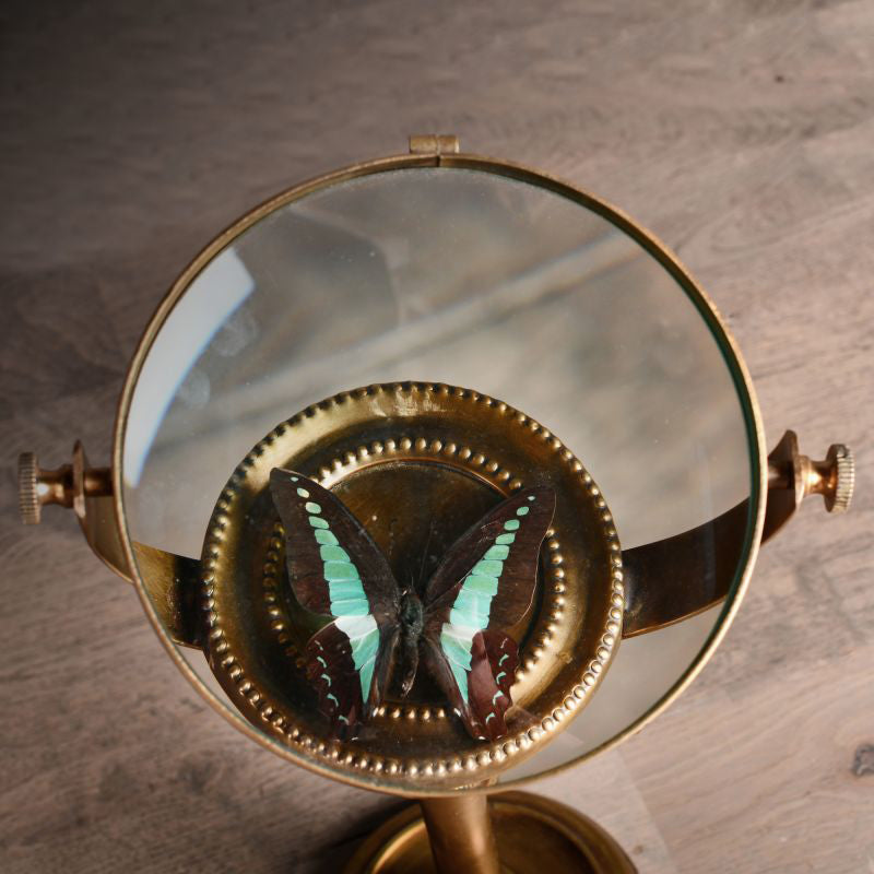 Entomologist&#39;s Magnifying Glass