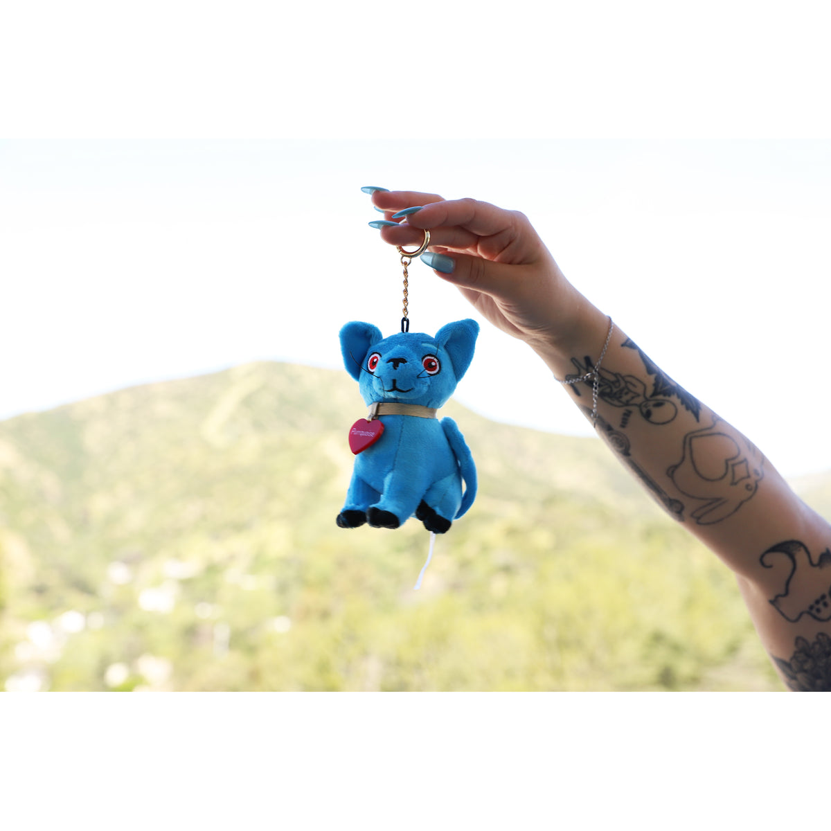 Plush Purrquoise Keychain