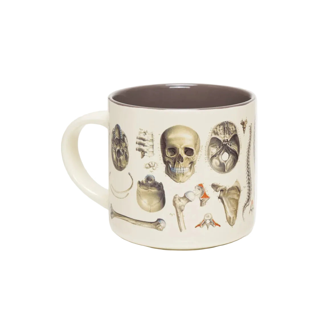An off-white ceramic mug featuring a detailed illustration of human skull and bone anatomy, with a contrasting dark brown interior, set against a clean white background.
