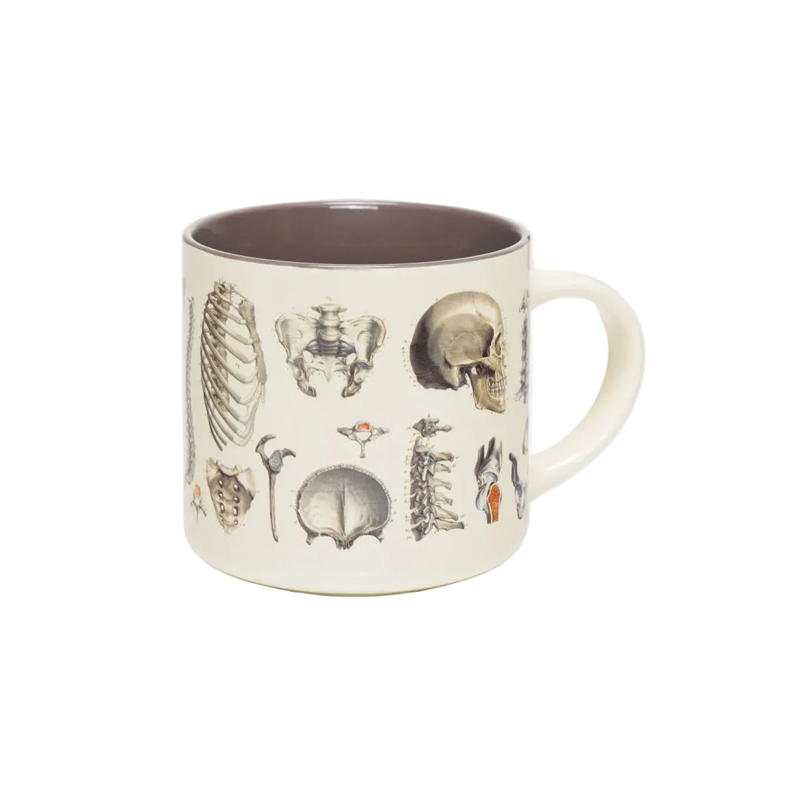 An off-white ceramic mug featuring a detailed illustration of human skull and bone anatomy, with a contrasting dark brown interior, set against a clean white background.