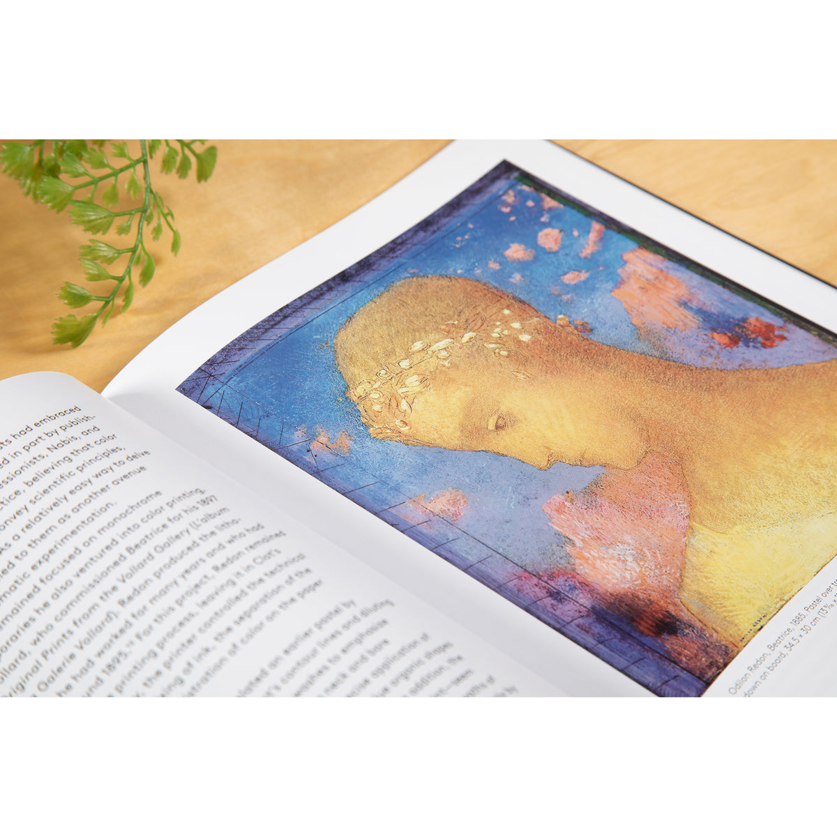 An open bookon a light wood surface, showing printed text on one page and a colorful artwork on the other. The artwork depicts a stylized golden-yellow figure against a blue and pink abstract background, with a small green plant visible in the upper left corner.