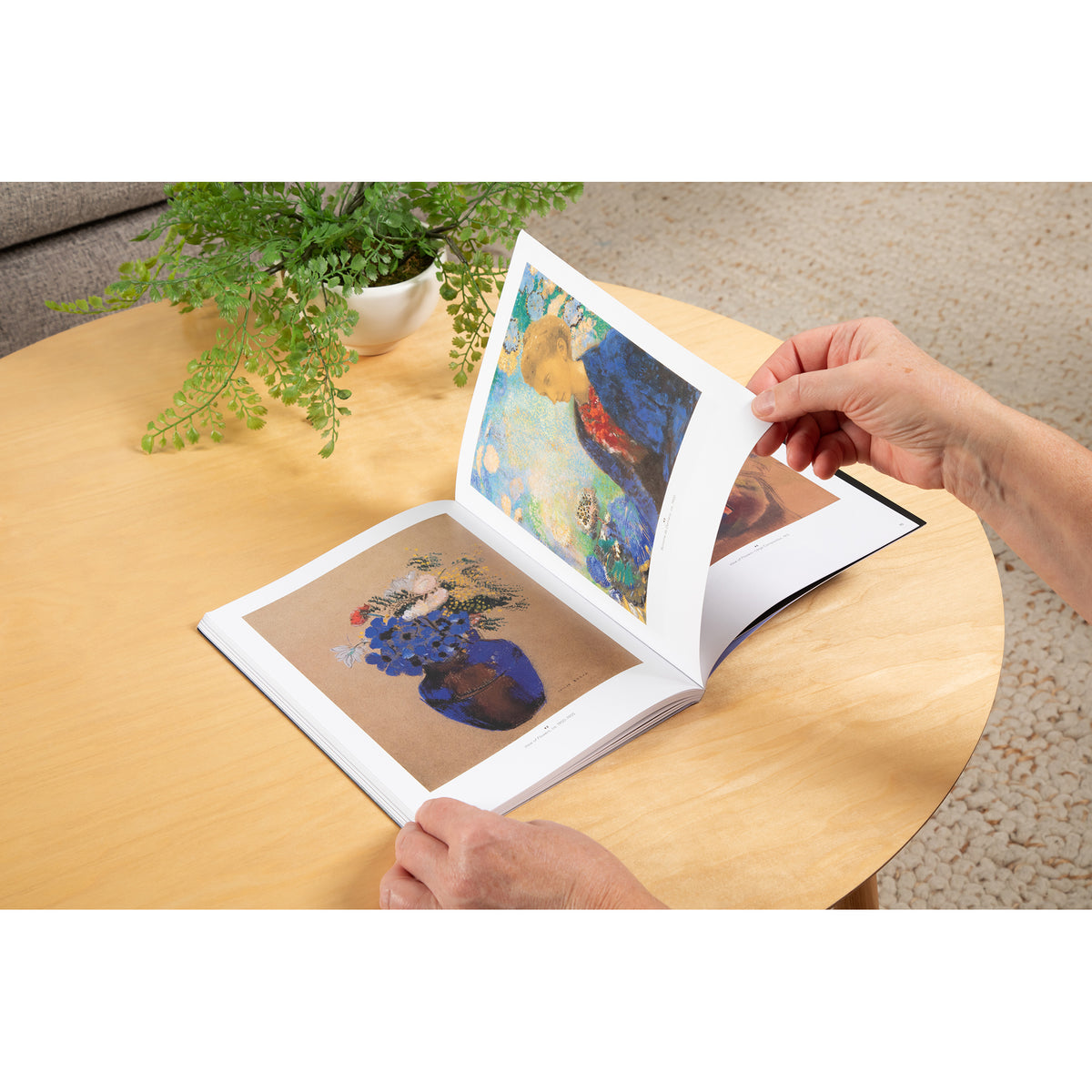 A person's hands are shown turning a page of an open art book on a light wood table, with a potted plant in the background.