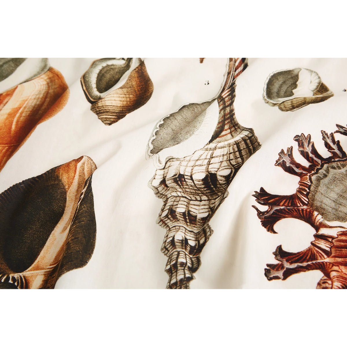 Seashells Voile Bandana