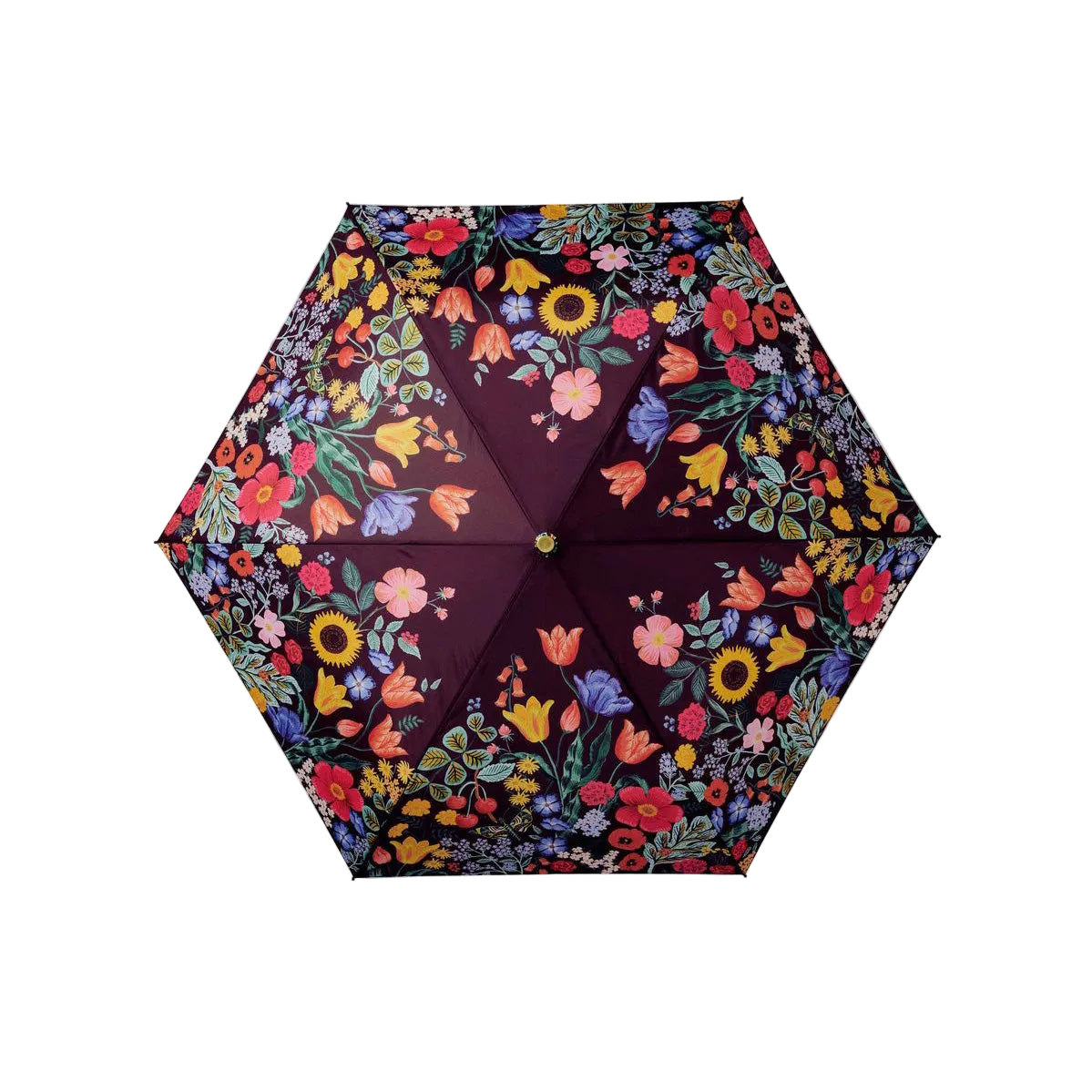 Floral-patterned umbrella on a white background