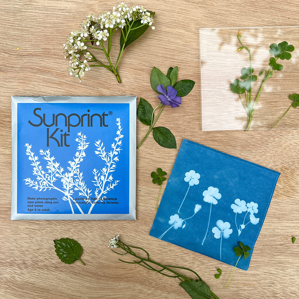 Sunprint Kit with blue paper and pressed flowers on a wooden surface
