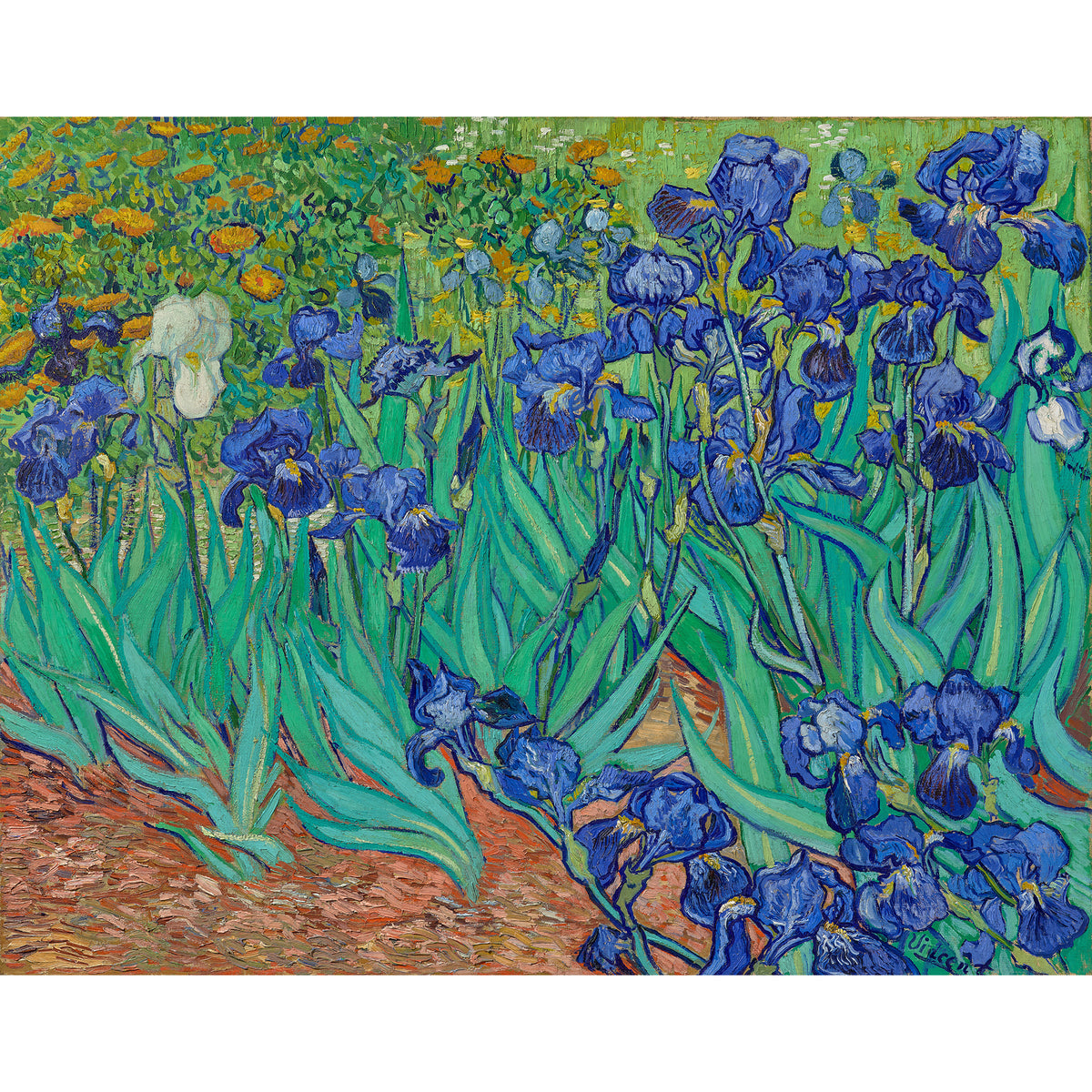 Van Gogh Irises Music Box