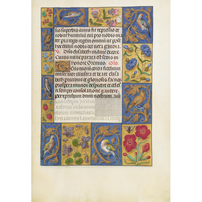 Midi Unlined Journal - Spinola Hours