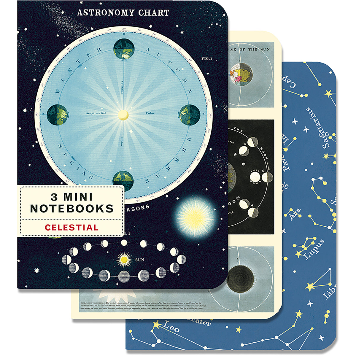 Three mini astronomy notebooks fanned out, showing celestial charts and constellations on a dark starry background.