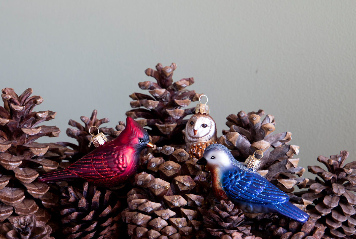 Handblown Glass Ornament - Western Bluebird