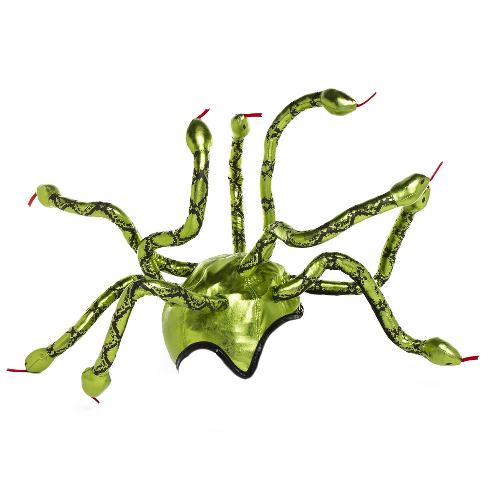 s*r様 T.caput-medusae 'Sonoran ' x T. Rare VariegatedAstrophytum Caput Medusae Grafted | eBay