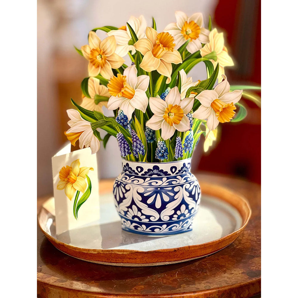 English Daffodils Pop-up Notecard