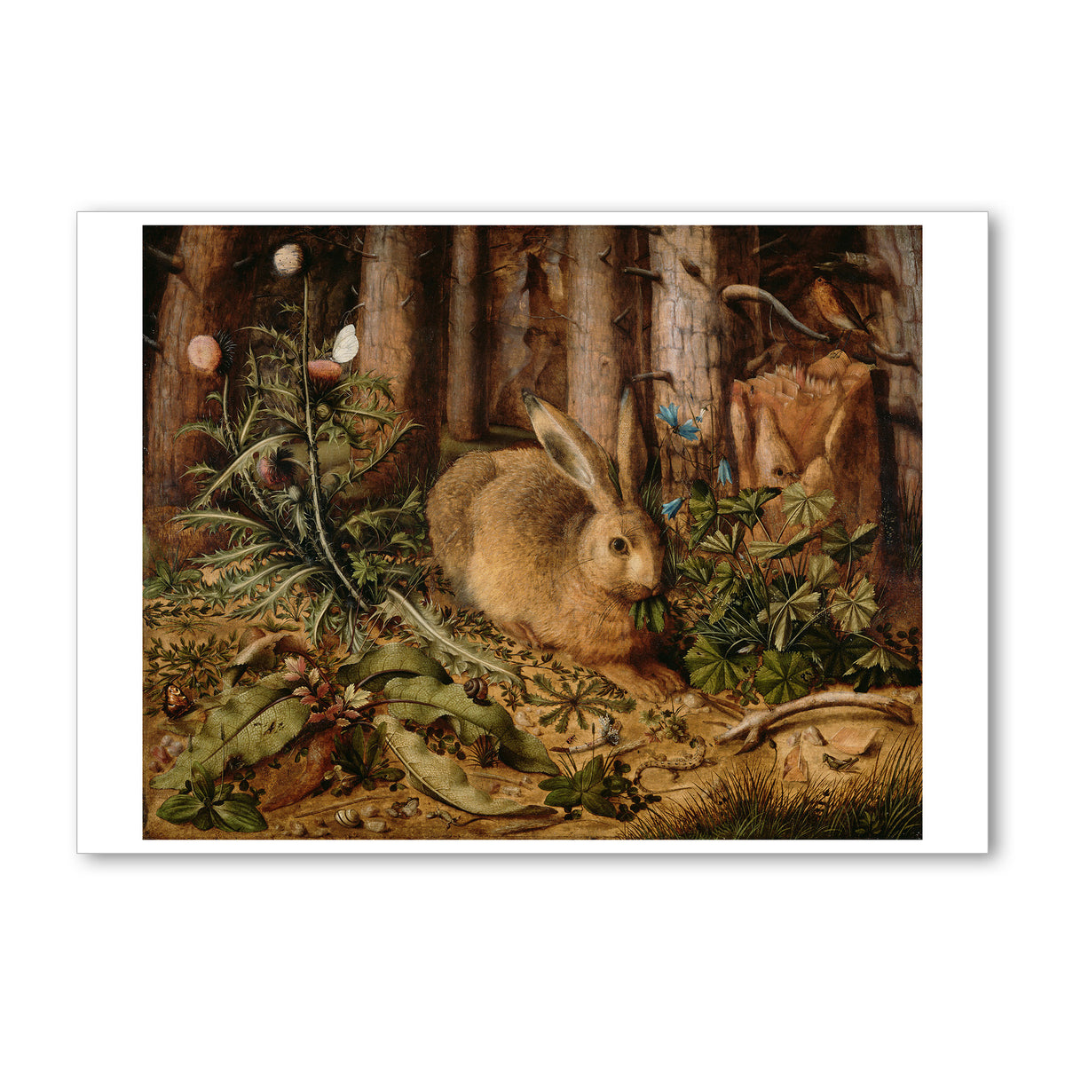 Hoffman-A Hare in the Forest- 5x7&quot; Note Card | Getty Store