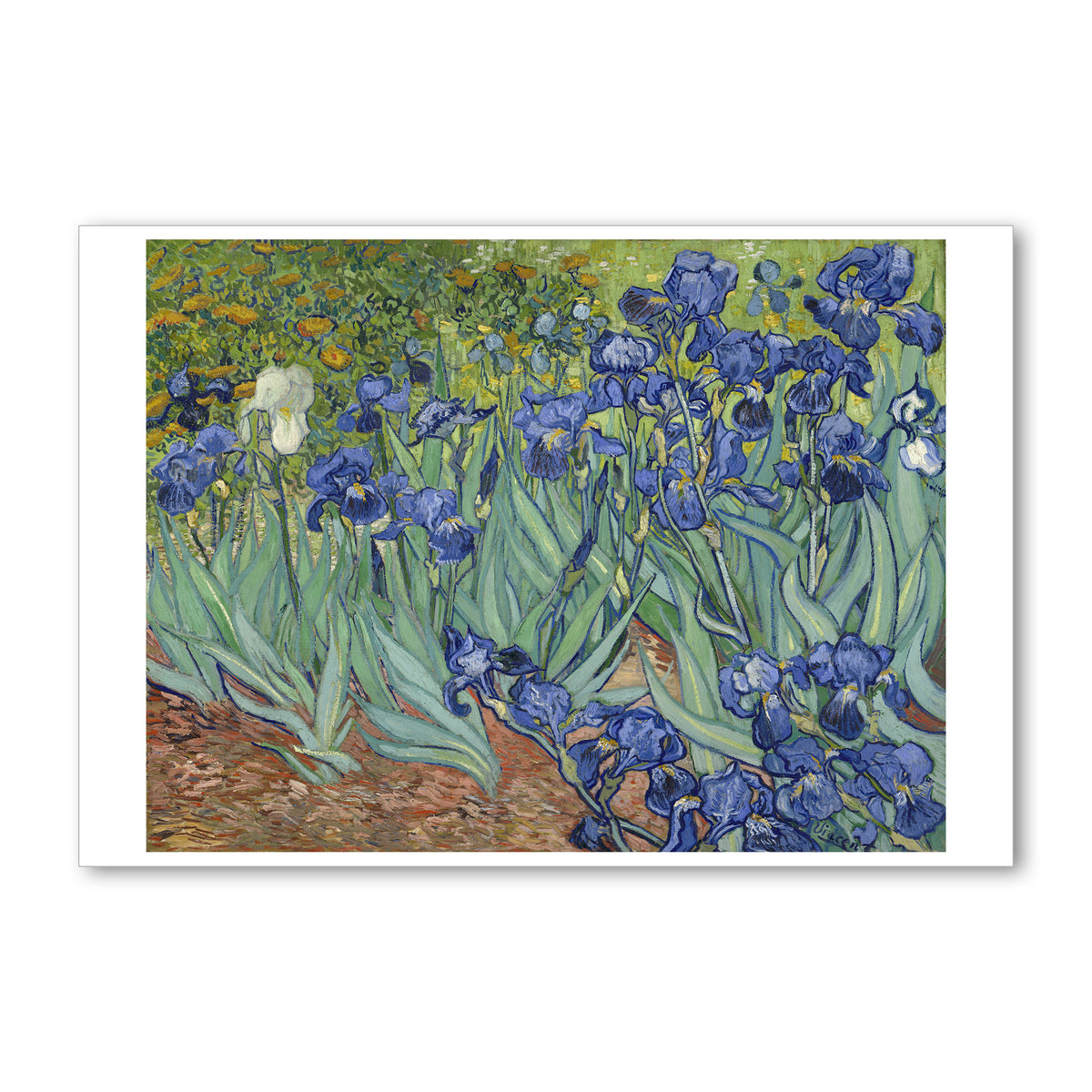 Van Gogh Irises- 5&quot;x7&quot; Note Card | Getty Store